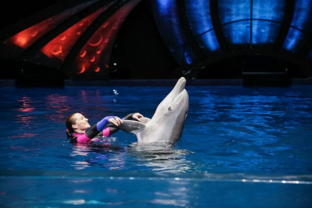 Georgia Aquarium Dolphin Show